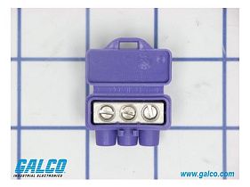 King Innovation 95104