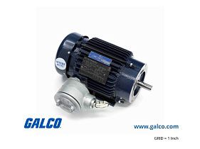 Marathon Electric 145TTGN6549