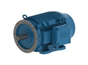 WEG Electric 02218ET3Y180LFF-W22