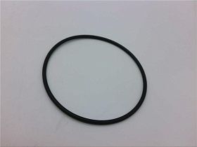 EV3071-19 Уплотнение от EVERPURE