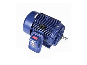 Marathon Electric 326TSTGS6501