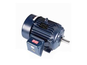 Marathon Electric E207-P