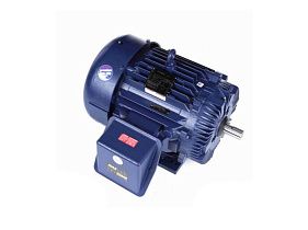 Marathon Electric E612