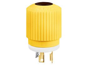 Bryant Electric 70620NPCR