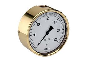 NOSHOK 40-310-30/160-psi/kg/cm2