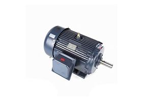 Marathon Electric 365TTFC6683