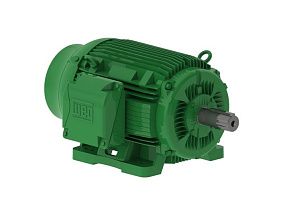 WEG Electric 05012EG3E365T-W22