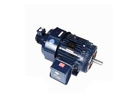 Marathon Electric 364THFS8046