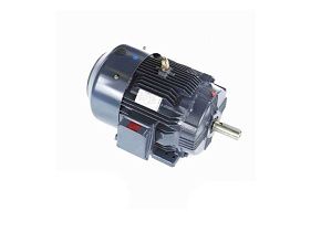 Marathon Electric 286TTFCD6026