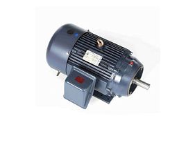 Marathon Electric 256TTFCA6003