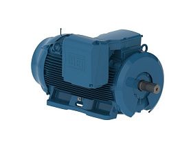 WEG Electric 40012ET3H449T-W22
