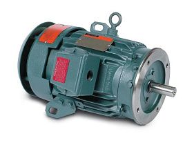 Baldor-ABB Motors CECP3663T