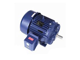 Marathon Electric W577