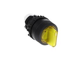 WEG Electric CSW-CKI3R453 WH