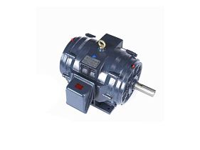 Marathon Electric GT0034