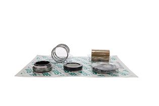 Ремонтный комплект  для насоса Артикул 118.000.343 от производителя SCOT INC