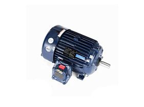 Marathon Electric 256TTGN16552