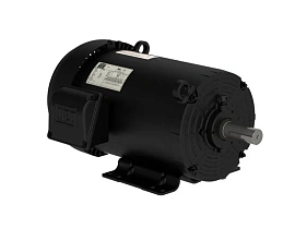 WEG Electric 00536ET3H184T-SG