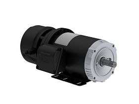 WEG Electric 00718ET3EBM213TC-S