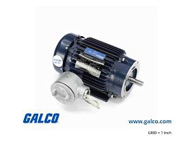 Marathon Electric 145TTGN6536