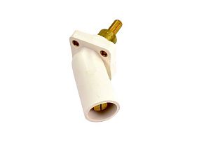 Advanced Devices (Marinco) CLS45MR2SB-B