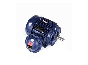 Marathon Electric 364TTGS16536