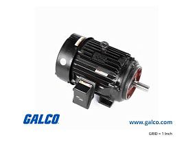 Marathon Electric 286TPFSA10090