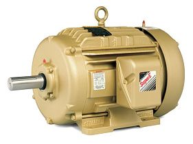 Baldor-ABB Motors EFM2334T