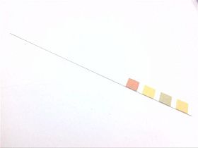 2613991/EACH Лабораторный аксессуар от WHATMAN