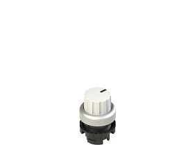 Pizzato E2 1SL43ACH29AB