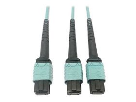 Tripp-Lite N846D-03M-24BAQ