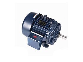 Marathon Electric E239