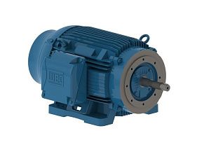 WEG Electric 06012ET3E404JP-W22