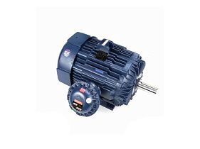 Marathon Electric 445TTGN16543