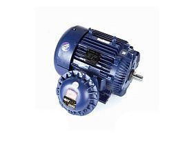 Marathon Electric 364TSTGS6506