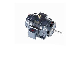 Marathon Electric GT2437