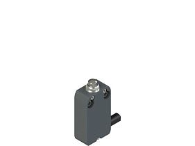 Pizzato NF B110AA-DN2