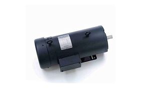 Marathon Electric 145TEFR5326