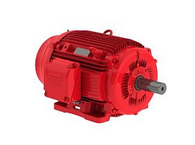 WEG Electric 06015EP3OFP364TS-W22