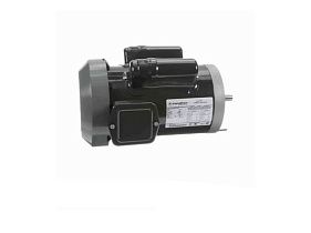 Marathon Electric C466