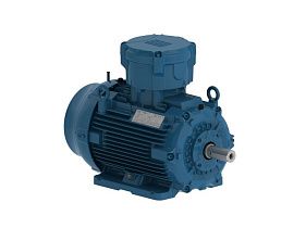 WEG Electric E03736XP3YAX200LF3-W