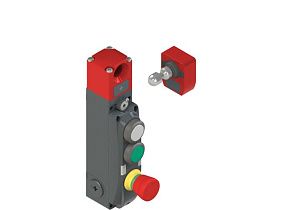 Pizzato NG 2D1D411S-F31