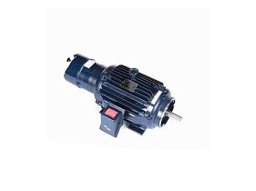 Marathon Electric 256THTNA8071