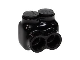 ASI-Automation Systems Interconnect AICS250-2