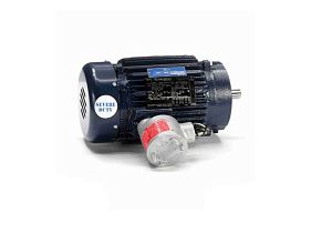 Marathon Electric 143TTGN16539