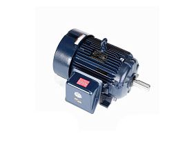 Marathon Electric Y569