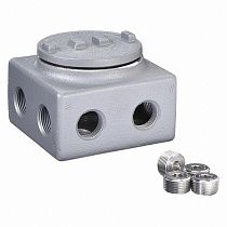 APPLETON ELECTRIC AF2FLV