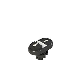 Pizzato E2 1PDSL1AAAB