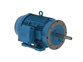 WEG Electric 03036ET3V286JP-W22