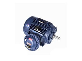 Marathon Electric 365TTGS16577